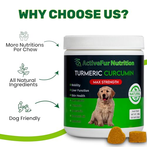 Turmeric Curcumin