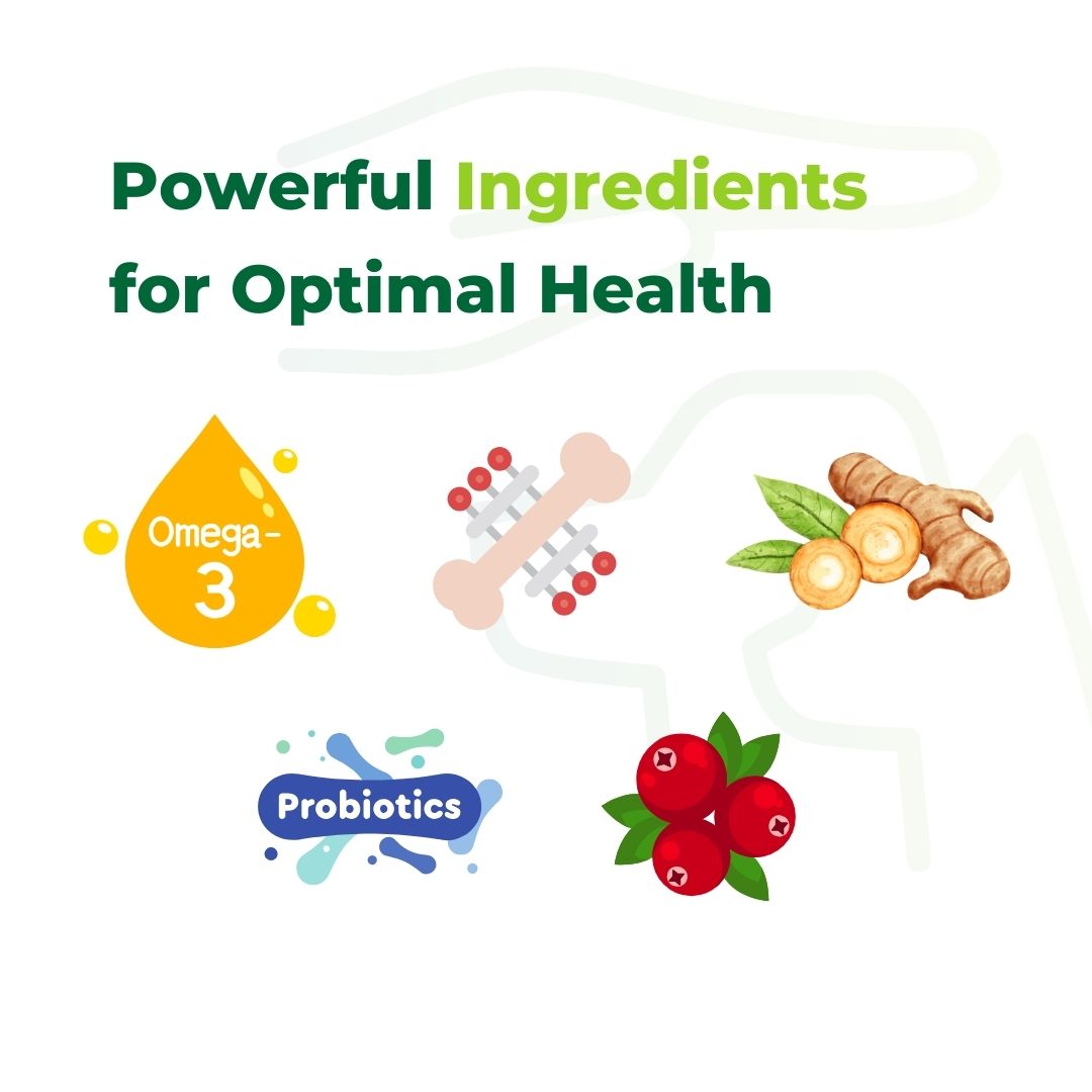 Powerful Ingredients for Optimal Health image