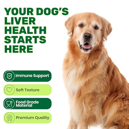Liver Support supplement
