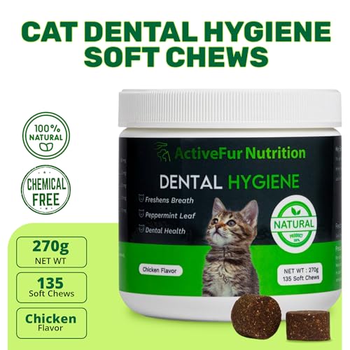Cat Dental Hygiene