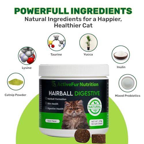 Cat Hairball