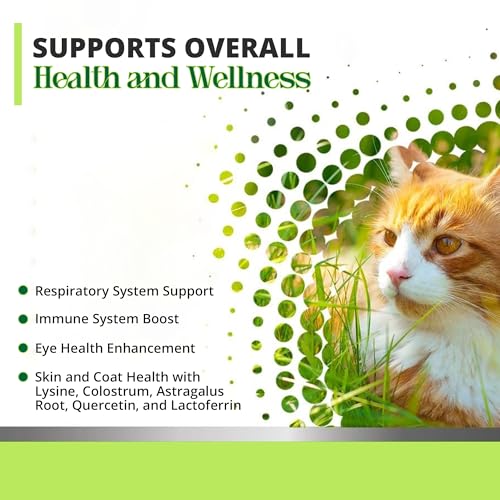 Cat L-lysine