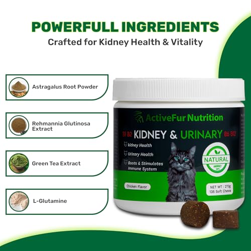 Cat Kidney & Urinary