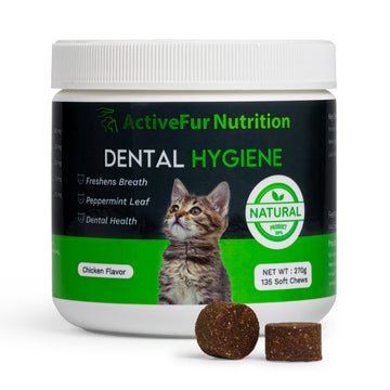 Cat Dental Hygiene
